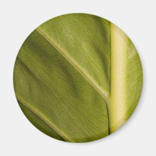 Groen 01 magneet