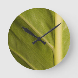 Groen 01 ronde klok