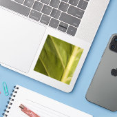 Groen 01 sticker (Laptop met iPhone)