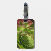 Groen Bagagelabel (Achterkant verticaal)