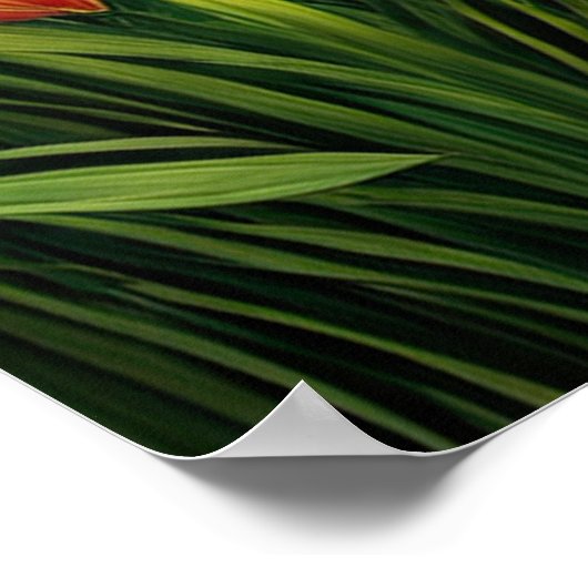 Groen bamboebos poster (Hoek)