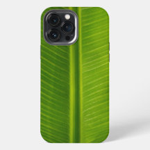 Groen bananenblad, vers