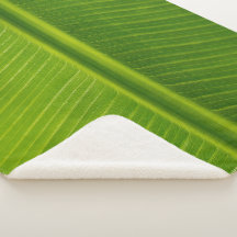 Groen bananenblad, vers