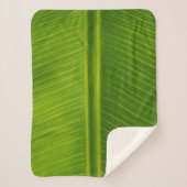 Groen bananenblad, vers sherpa deken (Voorkant)