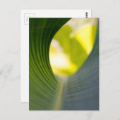 Groen blad briefkaart (Voorkant / Achterkant)