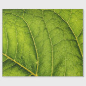 Groen blad cadeaupapier (Vlak)