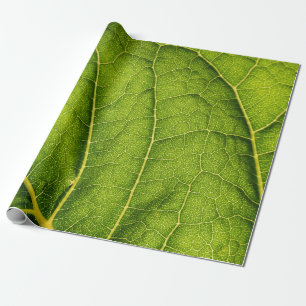 Groen blad cadeaupapier