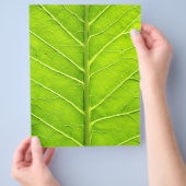 Groen blad flyer (Hand)