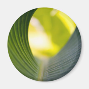 Groen blad magneet