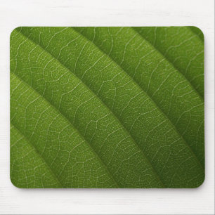 Groen blad muismat
