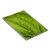 Groen blad notitieboek (Rechterzijde)