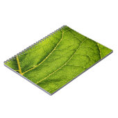 Groen blad notitieboek (Linkerzijde)