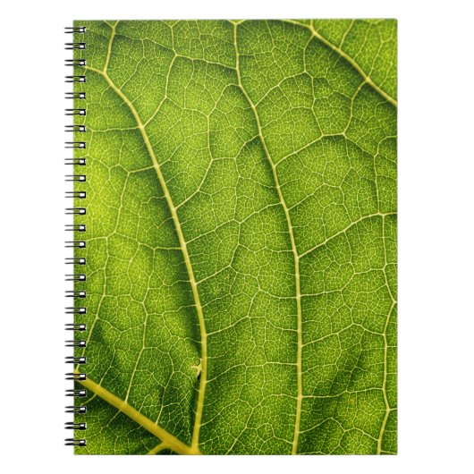 Groen blad notitieboek (Voorkant)