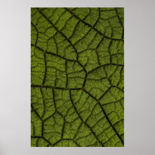 Groen blad poster