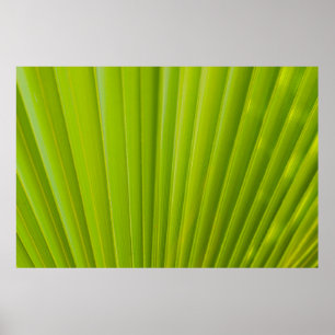 Groen blad poster