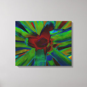 Groen Blauw Rood Bromeliad Plant Afbeelding Canvas Afdruk