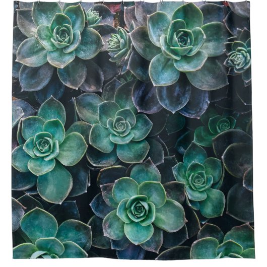 Groen blauw Succulent Plant Douchegordijn (Voorkant)