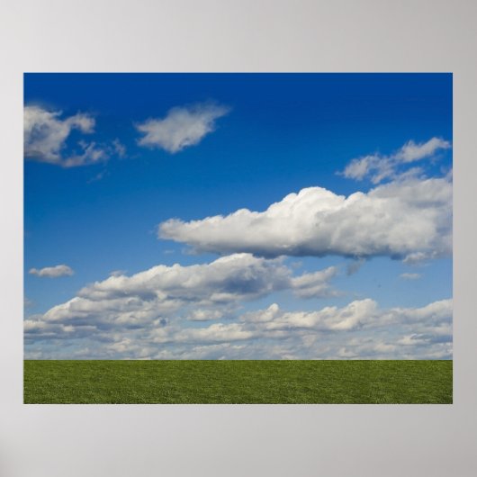 groen , blauwe lucht , witte wolk poster (Voorkant)