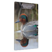 Groen Blauwgroen Klembord (Rechts)