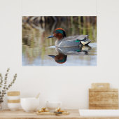 Groen Blauwgroen Poster (Keuken)