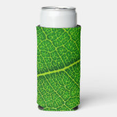 Groen boomblad (Seltzer Voorkant)