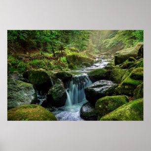 Groen bos en rivier poster