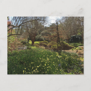 Groen bos met gele bloemen briefkaart