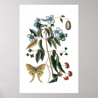 groen botanisch poster