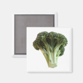 Groen broccoli, vers plantgoed magneet (Voorkant / Achterkant)