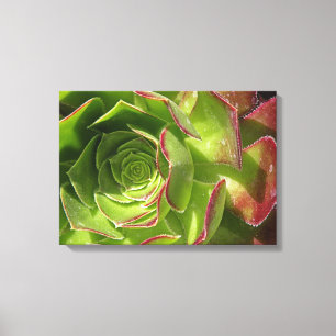 Groen Canvas Afdruk