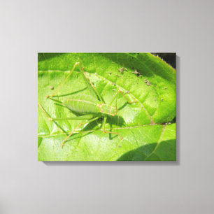 Groen cricket Camouflage Canvas afdrukken