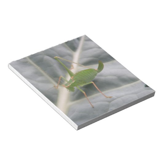 Groen cricket macronotebook notitieblok (Schuin)