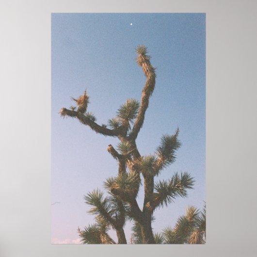 GROEN EN BROEIEN ONDER BLUE SKY POSTER (Voorkant)