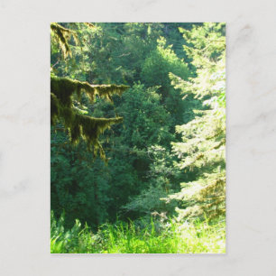 Groen en Lush Briefkaart