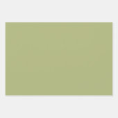 Groen en Roze Schattige Bird Baby ShowerWrapping P Inpakpapier Vel (Voorkant 2)