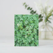 Groen en wit Shamrock Briefkaart (Staand voorkant)