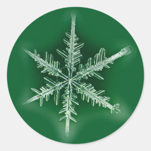 Groen en wit Snowflake Sticker