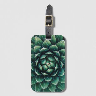 Groen en wit Succulent Bagagelabel