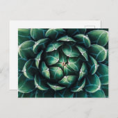 Groen en wit Succulent Briefkaart (Voorkant / Achterkant)