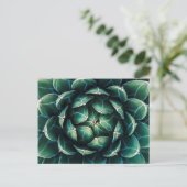 Groen en wit Succulent Briefkaart (Staand voorkant)