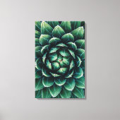 Groen en wit Succulent Canvas Afdruk (Voorkant)
