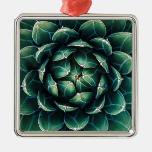 Groen en wit Succulent Metalen Ornament