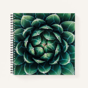 Groen en wit Succulent Notitieboek
