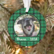 Groen en zwart geplakt hond Foto Kerstmis