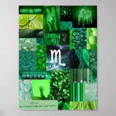 groen esthetisch scorpio zodiaal poster (Voorkant)