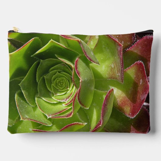 Groen Etui (Voorkant)