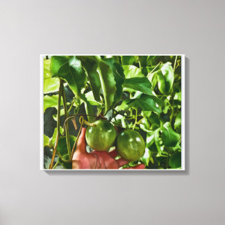 Groen Fruit Canvas Afdruk