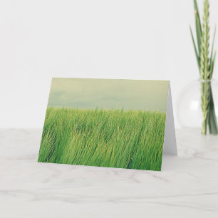 Groen gebied kaart