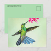 Groen gekruide briljante stekelvogel en roze venti briefkaart (Voorkant / Achterkant)