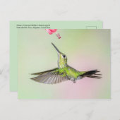 Groen gekruide briljante vogelvlucht briefkaart (Voorkant / Achterkant)